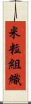 米粒組織 Scroll