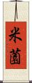 米薗 Scroll