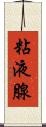 粘液腺 Scroll