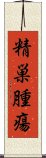 精巣腫瘍 Scroll