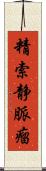 精索静脈瘤 Scroll