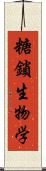 糖鎖生物学 Scroll