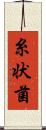 糸状菌 Scroll