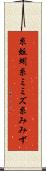 糸蚯蚓 Scroll