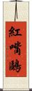 紅嘴鷗 Scroll