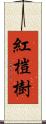 紅榿樹 Scroll