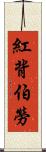 紅背伯勞 Scroll