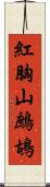 紅胸山鷓鴣 Scroll