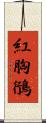 紅胸鴴 Scroll