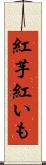 紅芋 Scroll