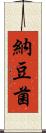 納豆菌 Scroll
