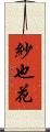 紗也花 Scroll