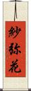 紗弥花 Scroll