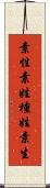 素性 Scroll