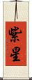 紫星 Scroll