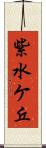 紫水ケ丘 Scroll