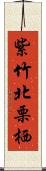 紫竹北栗栖 Scroll