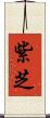 紫芝 Scroll