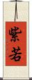 紫若 Scroll