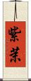 紫茉 Scroll