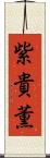 紫貴薫 Scroll