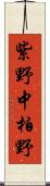 紫野中柏野 Scroll