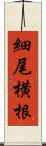 細尾横根 Scroll