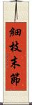 細枝末節 Scroll