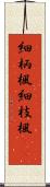 細柄楓 Scroll