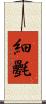 細氎 Scroll