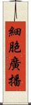 細胞廣播 Scroll