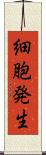 細胞発生 Scroll