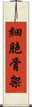 細胞骨架 Scroll