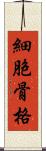 細胞骨格 Scroll