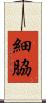 細脇 Scroll