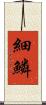細鱗 Scroll