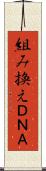 組み換えＤＮＡ Scroll