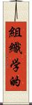 組織学的 Scroll