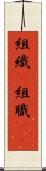 組織(P) Scroll