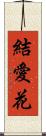 結愛花 Scroll