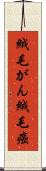 絨毛がん Scroll