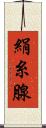 絹糸腺 Scroll