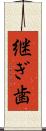 継ぎ歯 Scroll