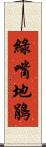 綠嘴地鵑 Scroll