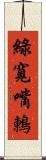 綠寬嘴鶇 Scroll
