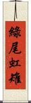 綠尾虹雉 Scroll