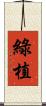綠植 Scroll