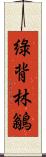 綠背林鶲 Scroll