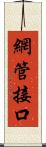 網管接口 Scroll