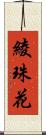 綾珠花 Scroll